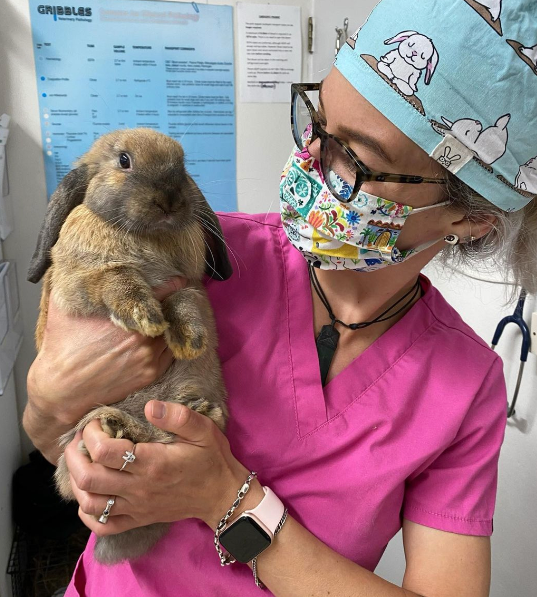 Vet With Rabbit