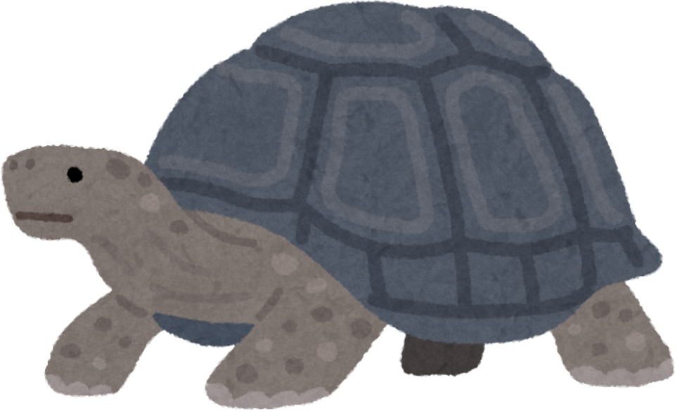 Galapagos Giant Tortoise Illustration